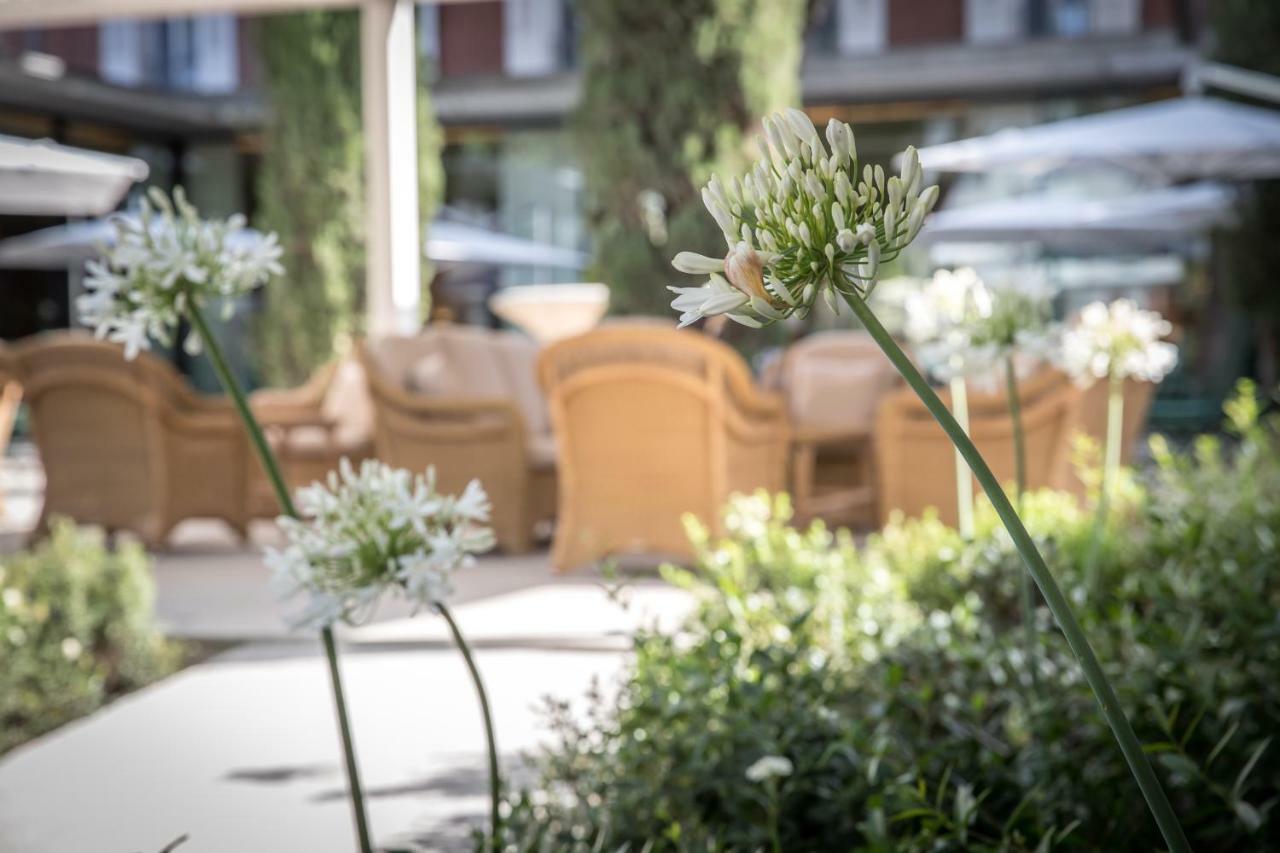 Maison Albar Hotels L'Imperator Nimes Exterior foto The hotel's garden